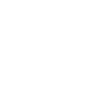 HIPAA Compliance Professionals seal